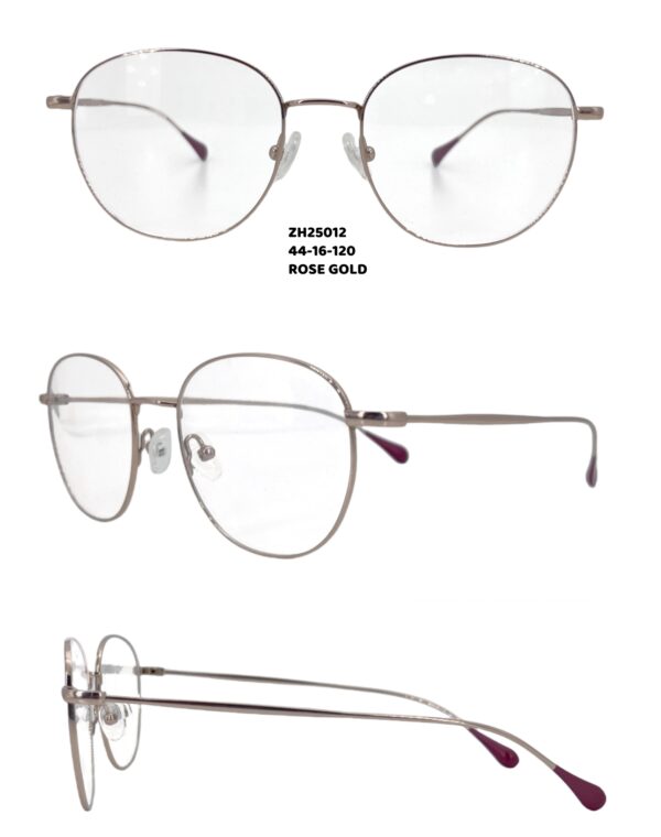 ZH25012 Titanium